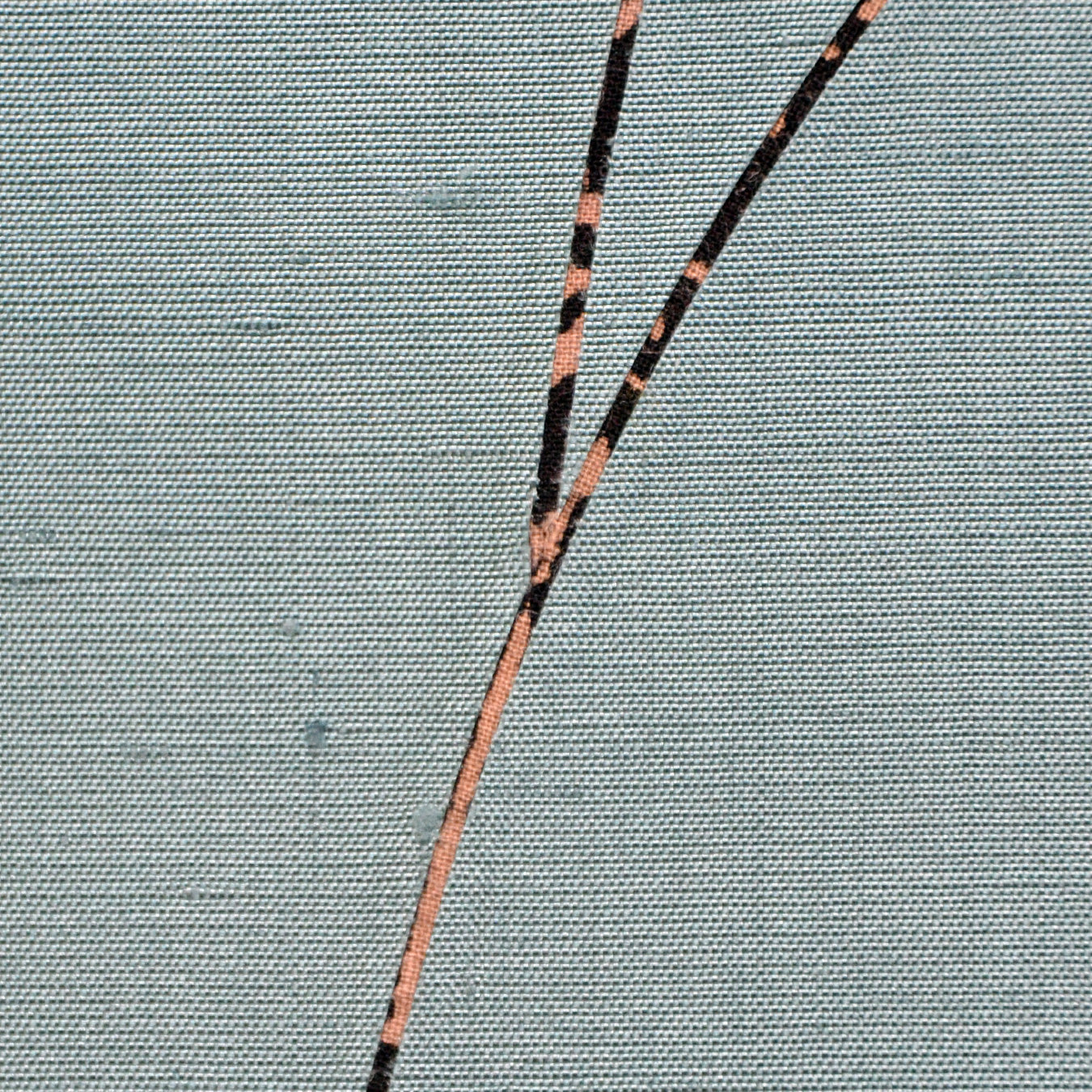 <tc>Hanging Scroll "Shishigatani-Pumpkin"</tc>